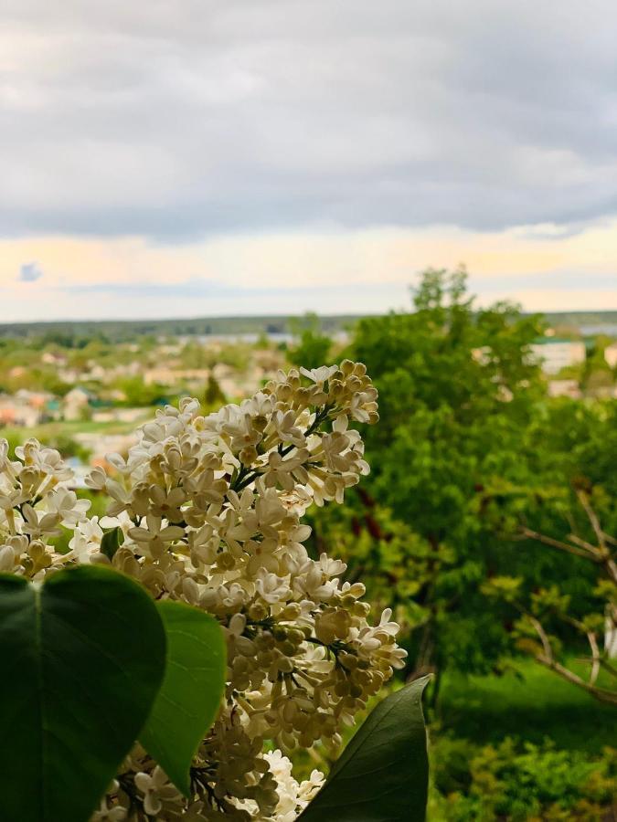 Гостевой Дом "Дача Салтов" Staryy Saltiv Esterno foto
